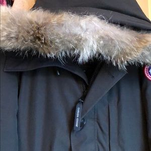 canada goose fur matted canada goose fur matted